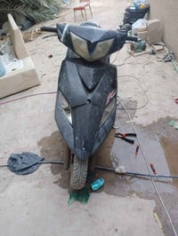 سكنس ثعلب • كايمه • كوم حديد
