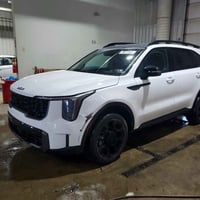 سورينتو • ٢٠٢٥ • مزاد