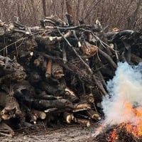 يوجد خشب رقم واحد يابس 07721208062