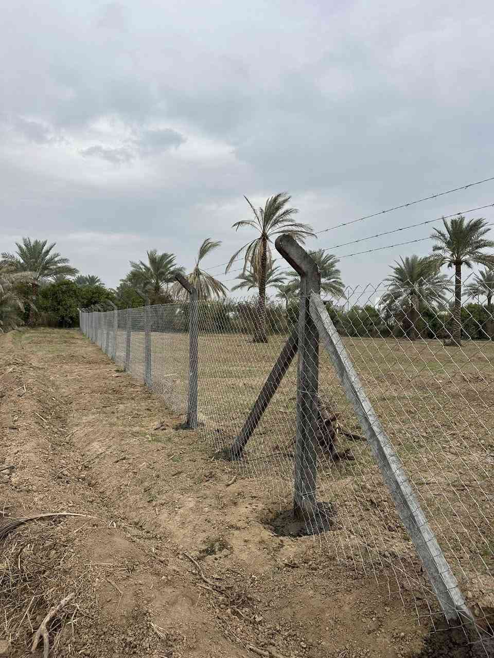 #شركة الفرات الأوسط 
خبرة وجودة عالية في تنفيذ جميع أنواع الأسياج الحديدية والعشبية لتأمين وتجميل مختلف المواقع! 🌿🛡️

🔹 أنواع الأسياج التي نقدمها:
✔️ أسياج BRC
✔️ أسياج الجينكو
✔️ الأسياج العشبية (للمظهر الجمالي والطبيعي) #عمل_ونصب_اسيجة_الـ_بي_ار_سي_Brc

🔹 نُجهز ونركب الأسياج لـ:
🏡 المزارع
🌳 البساتين
🏞️ الحدائق الخاصة والعامة
🏢 دوائر الدولة والمؤسسات

🔹 جودة ممتازة – أسعار منافسة – تغطية شاملة لكل العراق
🔹 خدمات تركيب، صيانة، واستشارات فنية من فريق متخصص

📞 للتواصل والاستفسار من الزر اسفل المنشور او على الارقام
*********** متوفر واتساب 
*********** متوفر واتساب
