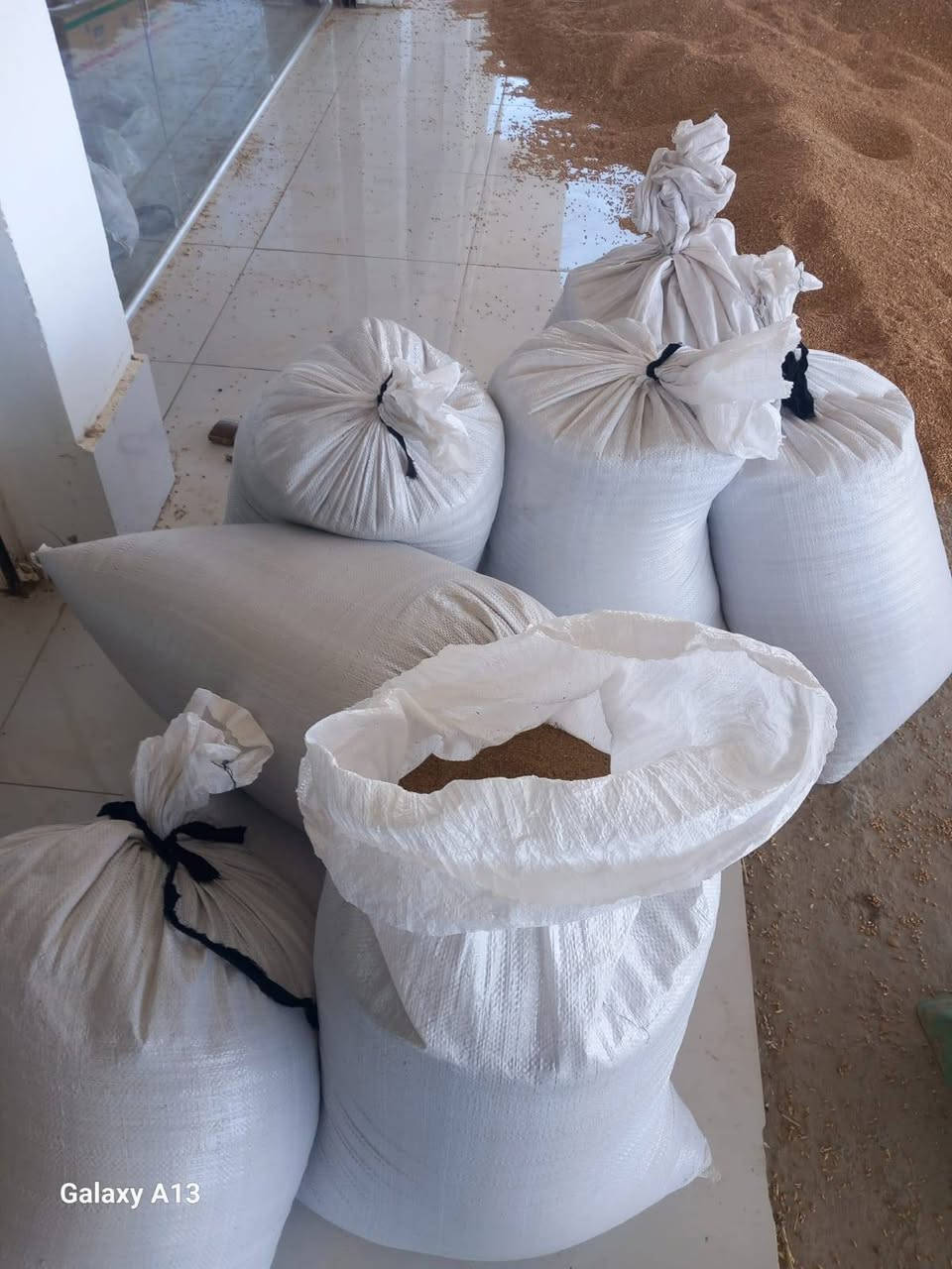📢 متوفر الآن لدى مكتب الشاهين الزراعي
🌾 جت عراقي بجودة ممتازة
💰 السعر: 14,000 دينار للكيلو
🚚 خدمة التوصيل متوفرة
📍 العنوان: سامراء – مفرق الفلوجة
📞 للحجز والاستفسار: ***********
🔹 سارعوا بالحجز قبل نفاد الكميات.
