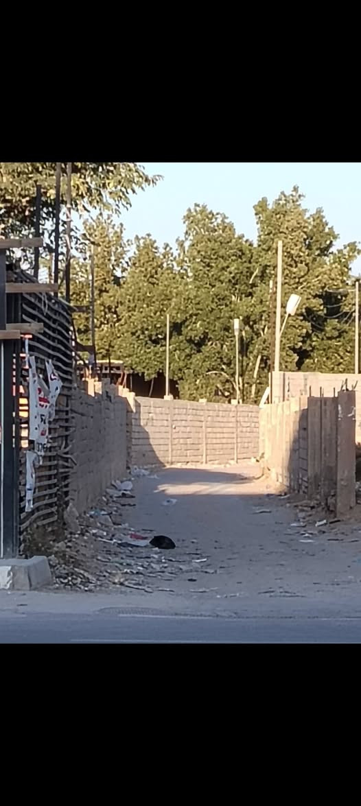 قطعه مساحه ٢٦٠متر الحر الشارع الرئيسي عن الشارع ١٠٠متر ركن الدخول علئ فرعين مضيف الامام الحسين واسكيمو او العالم الاماني الاروربي ماء مجاري كهرباء واصل الى القطعه الاستفسار الاتصال ***********
