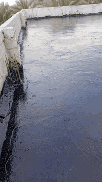 السلام عليكم يوجد جير لتاجير السطوح و الاساسات والمدارس والجامعات البرميل ب75 كرسته  وعمله كامل لباد فلانكوت شغل درجه اولى ضمان 5سنين الاستفسار عن الرقم ***********
