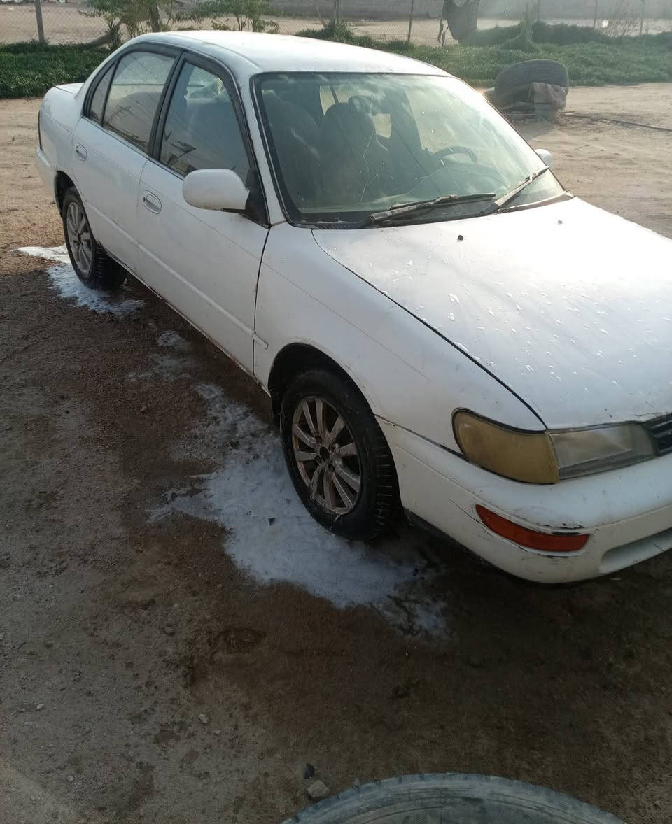 كورلا مديل95 رقم بغداد تحويل مباشر مكينه 4براغي 
كير جديد دواخل جدد تخم تاير كهربائيات كله شغاله سنويه منتهيه عاج *********** السعر 35 وبيه مجال مكاني بصره
