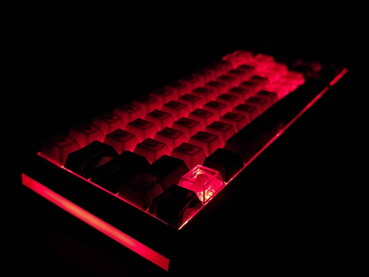 Yunzii al66 customize
کوردی/ العربية
​بۆ فرۆشتن کیبۆردی Yunzii al66 customize ⌨️
للبيع كيبورد Yunzii al66 customize ⌨️
​بەکارهاتووی نوێیە کارتۆن و ئەشیای کاملی خۆی ماوە 📦
کیبۆردەکی تا بلێی نازدارە کێشی کیلۆیە زیاترە لاشەی گشتی ئەلەمنیۆمە پلاستیک نیە ⚙️
سویچەکەی نەرمە و داگرتنی سووکە دەنگی بێزار نیە 🎶
کیبۆردەکە کەستمیاز کراوە لە گەل کیکاپی براندی X-Raypad هەردووکی پێکەوە ئەفرۆشم کیکاپە زیادەکانیشی لەگەڵە بە سادەیش دەبێت بێ کەستمایز 65,000 دینار ئەوەستێ هەردووکی پێکەوەش 90,000 دینارە 💰
گەیاندن بۆ هەموو شوێنێک هەیە 🚚

​🔴​العربية
مستعمل بحالة الجديد وبكامل غراضه والكرتونة مالته 📦
كيبورد كلش نازك وراقي ووزنه أكثر من كيلو لأن الهيكل مالته كله ألمنيوم مو بلاستيك ⚙️
السويتشات مالته ناعمة وضغطتها خفيفة وصوتها أبد ما يضوج 🎶
الكيبورد مخصوم (كستمايز) ويا كيكابس من براند X-Raypad وأبيعهم ثنينهم سوة والكيكابس الزايدة هم وياها، تكدر تاخذه سادة بدون الكستمايز بـ 65,000 دينار وثنينهم سوة بـ 90,000 دينار 💰
التوصيل متوفر لجميع المناطق 🚚 أربيل, العراق


**إذا كنت صاحب هذا الإعلان وتريد حذفه لأي سبب، رجاءا أرسل رسالة إلى الدعم الفني**