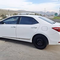 بيكاسو • ٢٠١٤ • أبيض