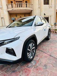 توسان • ٢٠٢٤ • رقم اربيل