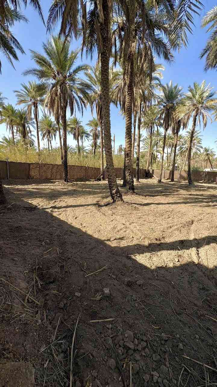 السلام عليكم 
 أرض للبيع المساحة 1000 متر  الواجهة 30  والباقي نزال ارض مربعة  طابو ملك صرف سند منفرد تصلح دار سكن او حسينية  تحويل اسهم وليس اقرار  ب اسم المشتري مباشر … كربلاء طريق فندق البارون شارع السيدة زينب منطقة الجرية قرب سوق الجرية  عامود 235 منطقة سكنية تبعد عن مركز المدينة 7 كيلو سعرها 130   للأستفسار اتصال 📱 أو واتساب … ***********
