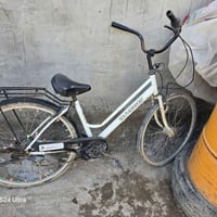 باسكل • حله ورديه • المخضر