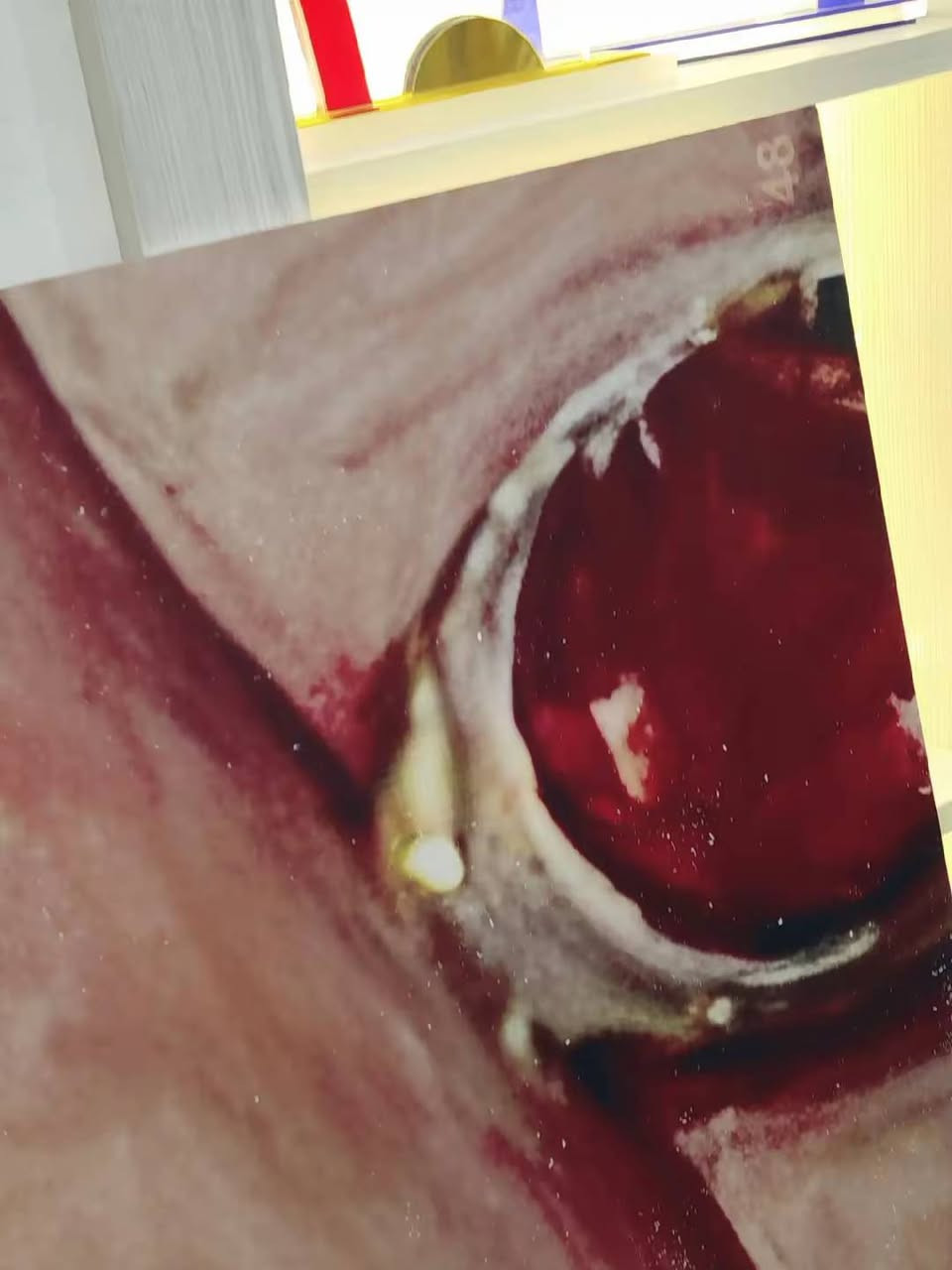 قطع فوم بورد عددهن 80 قطعه طولها متر ونص وبسمك 6 ملم القطع بعد ماتتجمع تصير صورة كاملة وظهر اللوحه فارغ قابل للطباعه عليه ك اعلان او كذا الي يريد تفاصيل اكثر يتواصل وياي


**إذا كنت صاحب هذا الإعلان وتريد حذفه لأي سبب، رجاءا أرسل رسالة إلى الدعم الفني**