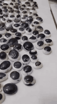 جمله فقط 07724186448