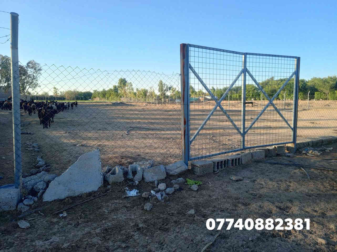 کۆدی ڕیکلام •30
ناونیشان/📍/  کەلار~صالح ئاغا~ بەرامبەر نادیکە ئەرۆیتەناو بەر دەم چۆڵ 

💢لە دەست خوتانی دەر مەکەن 
نرخی گونجاوە 💢

ماڵی کاسیبە بۆ ئاژەڵ داری بۆ فەلاحەت بۆ هەموو شەتێک ئەبێت 

هەمیشە نووسینگەی صالح ئاغا محمد پێشنگە لە ماڵی جوان هەرزان 

~~~~~~~~~~~~~~~~~~~~~~~

نرخی 110گەلاو معمەلە ماڵی فەقیرە 

🌳باخ بە رووبەری  (#یەک دۆنم و #نیو)🌳 

🏠هەیکەل 200متەری گەورەی تیدایە 

🔻جیگایەکی خۆشی هەیە 

⭕️ هیچ کئشەی لەسەر نیە 

🔻جیگای بەخیو کردنی ئاژەڵ تیایە 

🔴 کامل سیاجی بۆ کەراوە 

~~~~~~|
~~~~~~~~~~~~~~~~~~~~~~~~~~~~~~

💸کۆمێنت بنووسەزانیاریتەواوتان پێ دەگات

📠 بۆ زانیاری زیاتر پەیوەندی بکەن بە ژمارە 
                             
☎️￼⁨*********** نووسینگەی صالح ئاغا محمد
