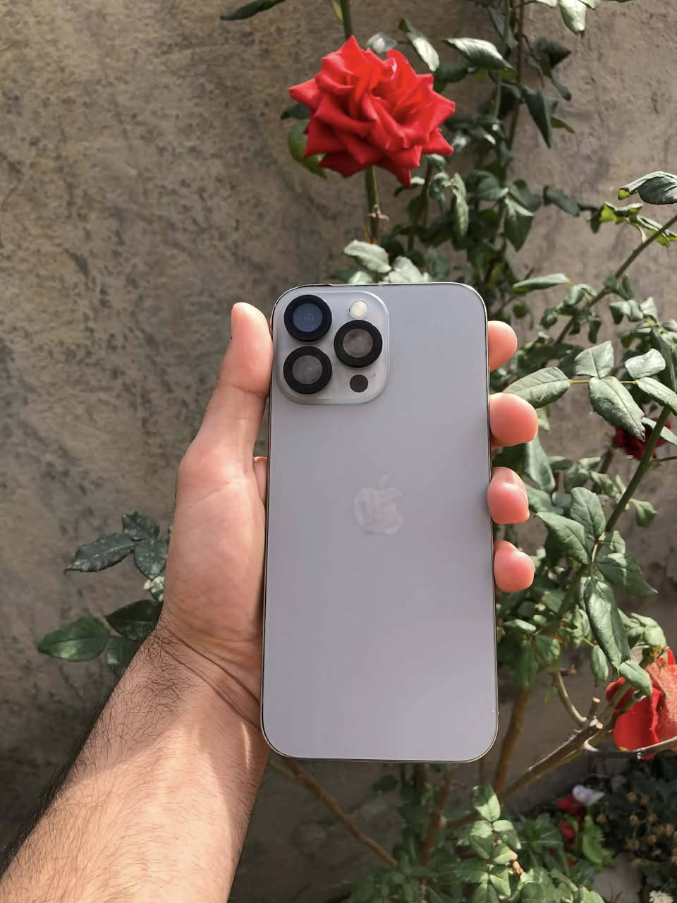 16 PRO MAX
ايفوان 16برو ماكس 

ذاكره ٢٥٦ 

السعر [890 ] 

بطاريه 🔋100 (مشحوت 9 مرات ) 

مبدل شاشه. نوعيه. حلوه لا تعلك. ولا بيه مشاكل  

وانطي بي ضمان تجي تاخذه من باب البيت   مبدل بطاريه  

مكاني بابل  حله 

***********
