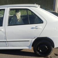 شيري كوين • ٢٠٠٩ • بغداد