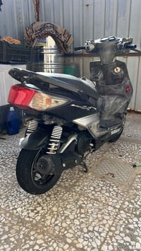 سكنس فحل • مامفتوح • بلادية