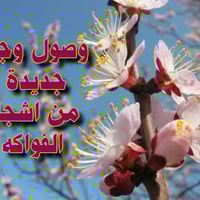 اشجار فواكه نفضية • مشاتل • قضاء الدور