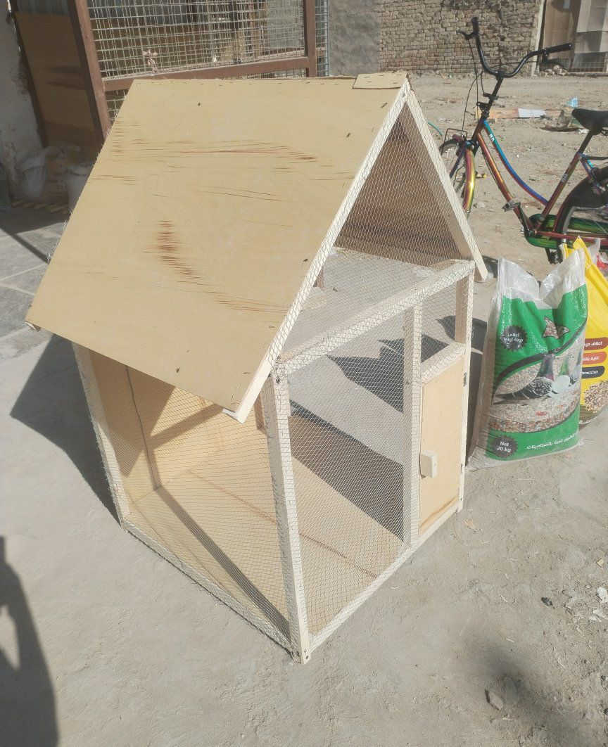 شغل قفاصه 
تواصل خاص أو على هاذه رقم ***********
