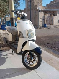 بوليس رايد • مراوس ماكس • أوراق ما مفتوحه