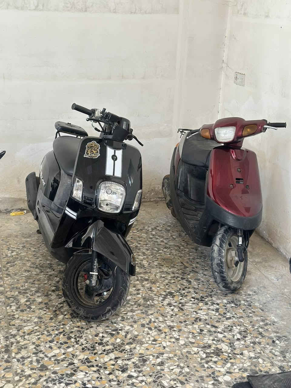 للبيع بوليس مكفول 800 وبيه مجال.
بطه هم للبيع ٣٠٠ وبيه مجال


**إذا كنت صاحب هذا الإعلان وتريد حذفه لأي سبب، رجاءا أرسل رسالة إلى الدعم الفني**