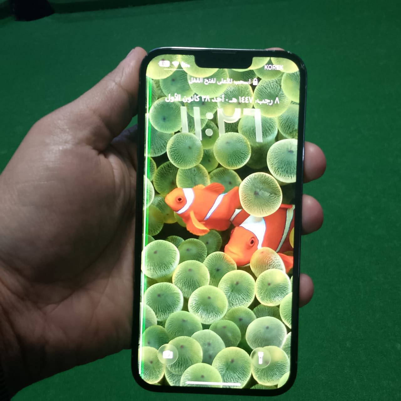 سلام عليكم 

13 (برو ماكس )شرق اوسط 

ذاكره 256 

ضهره مفطور أو كأمره مبدله 

أو خط بلشاشه 
الجهاز شاشته بلاديه

البطاريه بلاديه 85

السعر 450 وبي مجال 

مكاني بغداد
