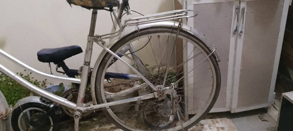 السلام عليكم بايسكل للبيع الويل الورا يعوزو 4 تيول والجوب الورا بنجر اذا مراوس اراوس و انطي فرغ ميخالف و اذا بيع السعر 65 و بي مجال مكاني موصل الايسر حي القدس ***********
