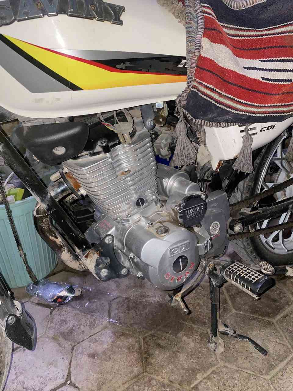 سلام عليكم شبابنه رمضان كريم عليكم
عندي ثنين لبيع دراجات عنواني كربلاء 

شاينك لون ازرق موديل 2025 سكنر
سيفان لون ابيض موديل 2024
 شغلات هندر سلف كهربائيات وحلوات
سعر مالتهم اتصل وتدلل 
***********
