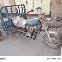 ستوته لبيع كلك لشراي يتصل ٠٧٨١١٣٩٢٦٣٣