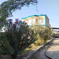 مزرعة ١٣٠٠م • طابو زراعي • طريق حلة نجف