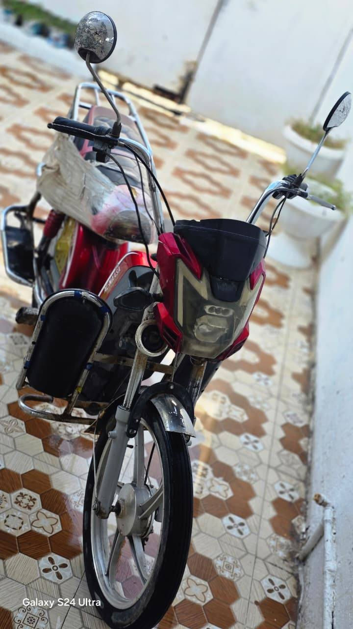 للبيع دراجه شحن
نظام سرقه شغال 

بك لايت شغال 

تقفل الدراجه عن طريق الريمون 

لايت+إشارات كله شغال 

مثبت سرعه اربع نمر
نضافه موضح كما في الصوره 
بطاريات يمشنك 10 كيلو 
شاحنه موجوده 
للتواصل ***********
غير متواجد على الفيس الاتصال 
على الرقم فقط 
عنوان حي نزال فلوجة
