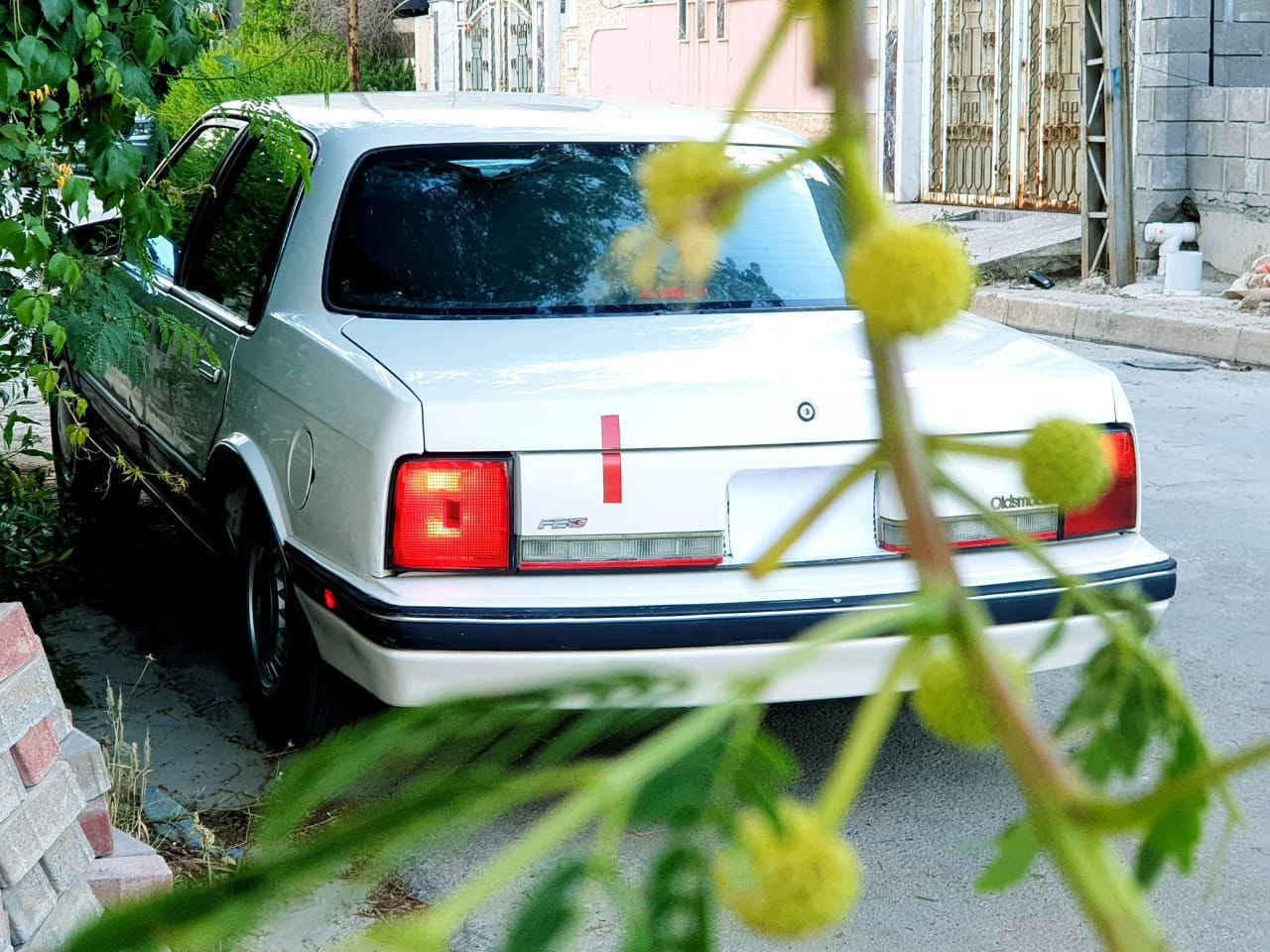 اولدز موبيل 1990
السعر 45 ورقه بيها مجال 
رقم نينوى دولي بإسمي السياره
سنويه 2031 هزه جديده
مكينه بلادي شرط لا صرف ولا نفخ
كير بلادي شرط 
الصدر (الطخم) جديد
صبغ سقف صندوق بوند اثر تشليع
بدون ضرر بدون دعم
كهربائيات كلها شغاله
تبريد كمبريسر مجيم
بيع فقط بدون مراوس نقد بدون اقساط
مكان السياره موصل /حي الزهور
للاستفسار التواصل ع خاص...


**إذا كنت صاحب هذا الإعلان وتريد حذفه لأي سبب، رجاءا أرسل رسالة إلى الدعم الفني**