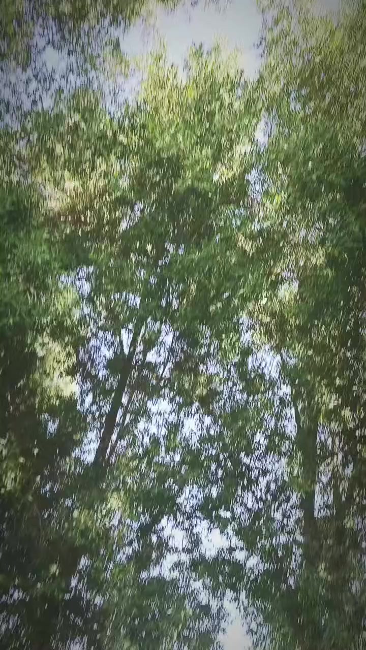 سلام عليكم
#متاح باسكل للبيع مديل 22 نضافه فول  160 شراي يتصل
*********** 
او يتفضل خاص نضافه كدامك مكاني حيدريه خان النص عمود  عمود 595
