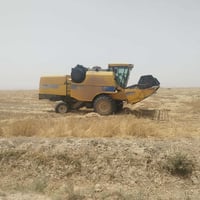 حصادة نيوهولاند • موديل 15 • باقي قسط واحد