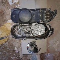 سبيسي • كفر • أصلي