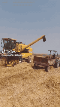 حاصدات عدد اثنين للبيع كفاله عامه ***********
