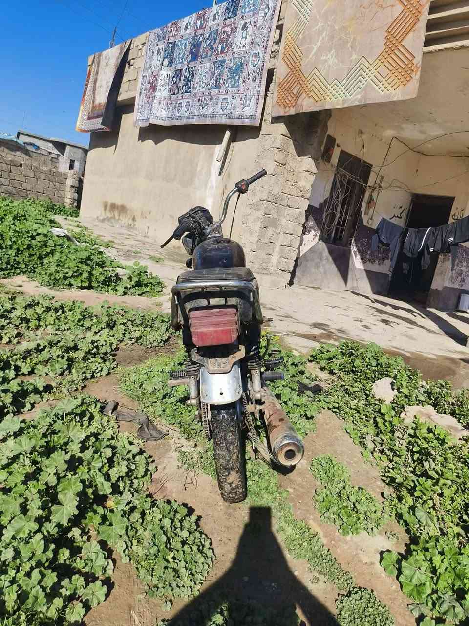 السلام عليكم سيفان للبيع محرك دمعا
نشاط فول
السعر125
مكاني الجواعنه
***********
