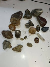 سليماني • مرجان • ذي قار