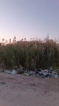 حي المختار • طابو زراعي ٢٠٠م • ماء وكهرباء