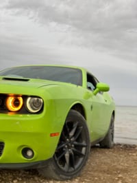 دودج جالنجر • ٢٠٢٣ • حادث خفيف