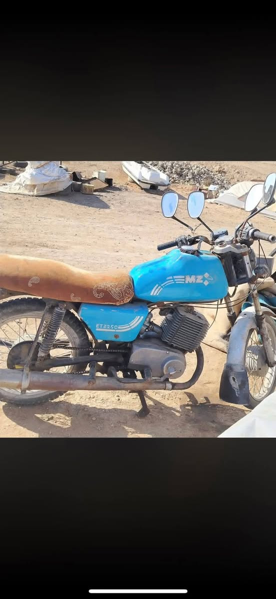 السلام عليكم مطار امزاد اذا اكو مراوس سالم بس انه مو تعبان الاندا مراوس خليه يدق علي لا يعلق لي انا قرايه ما اقرا يدق علي راح اخلي رقمي ***********
