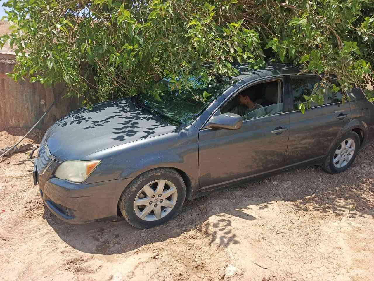 بيع ومراوس. ***********
