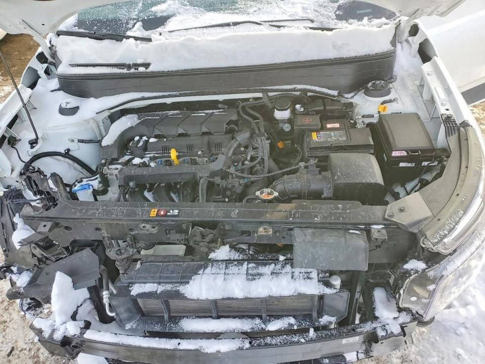 للبيع فينو موديل ٢٤حادثه كما موضح بالصوره بيه ارباك دركه ودشبول موجوده حالين سياره بالحره مملكة الاردنيه بالامكان دخول حره او ع كتاب شهداء باقي تفاصيل ع 
رقم***********
