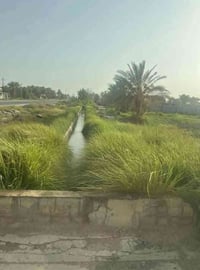 ذراع دجلة • ٢ دونم • خدمات كاملة