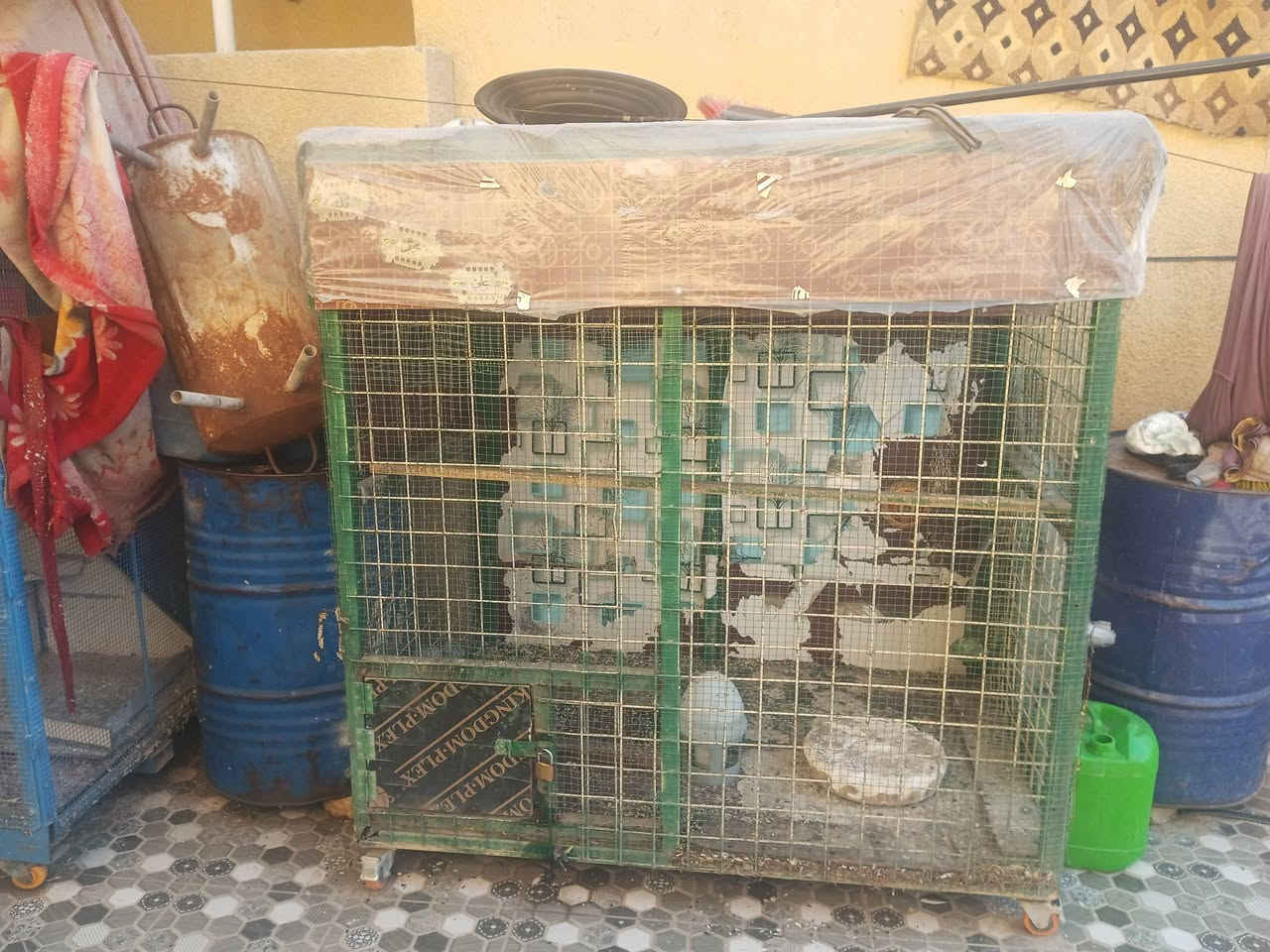 سلام عليكم قفص للبيع السعر 150بي مجال ***********
