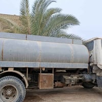 تنكر • رقم اصفر • سنوية ساقطة