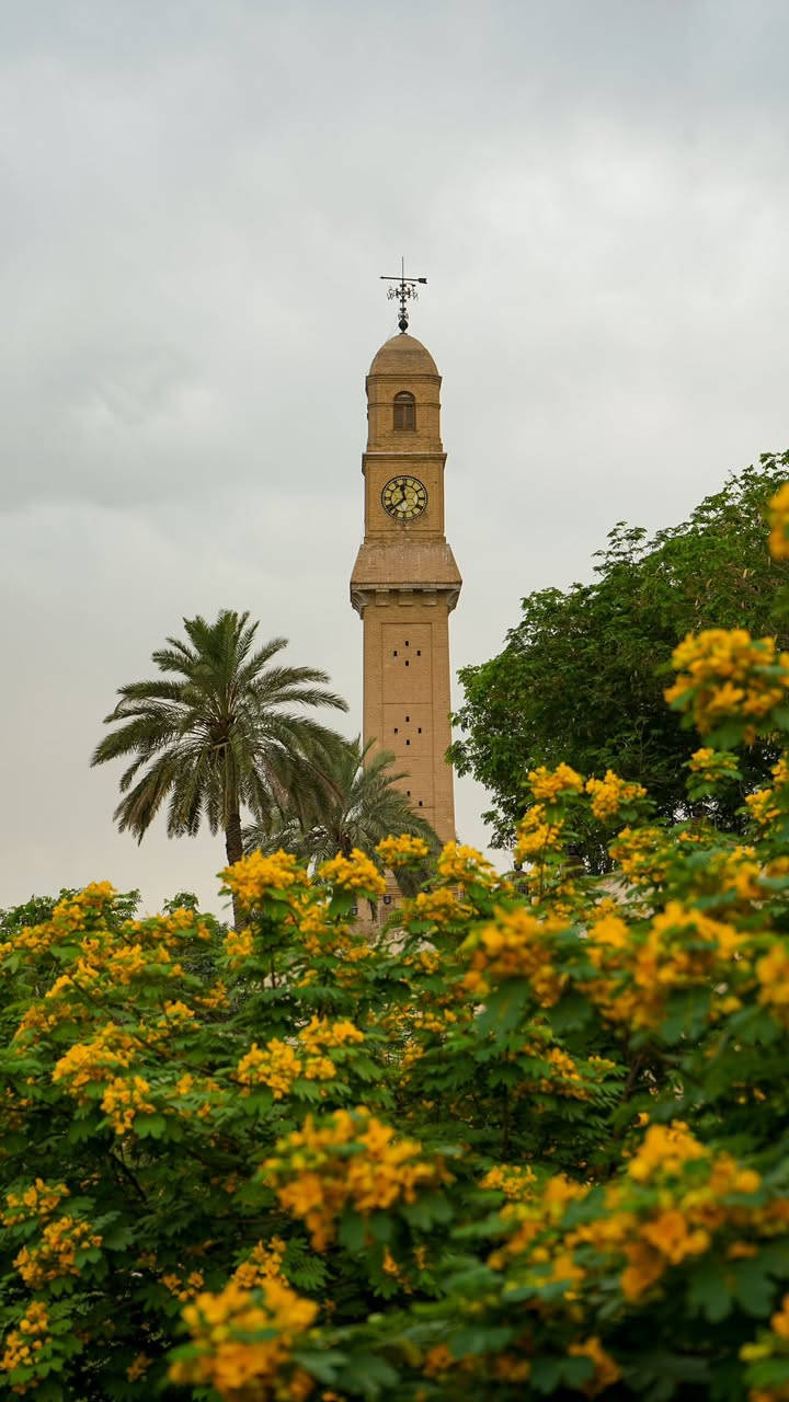 للبيع بدي Sony a7ii + عدسه 28_70 ملم 
3 بطاريات 
كيبلات شحن 
جنطة 
رام وجوكر ثلاثي حتى تنقل مباشرة من الرام للجهاز 
الشتر استخدام شخصي فقط ممجيكه
السعر والتواصل فقط واتساب على هذا الرقم 
***********
مكاني بغداد باب معظم 
وهاي مجموعة من الصور نتائج تصويرها كلش مرتبة
