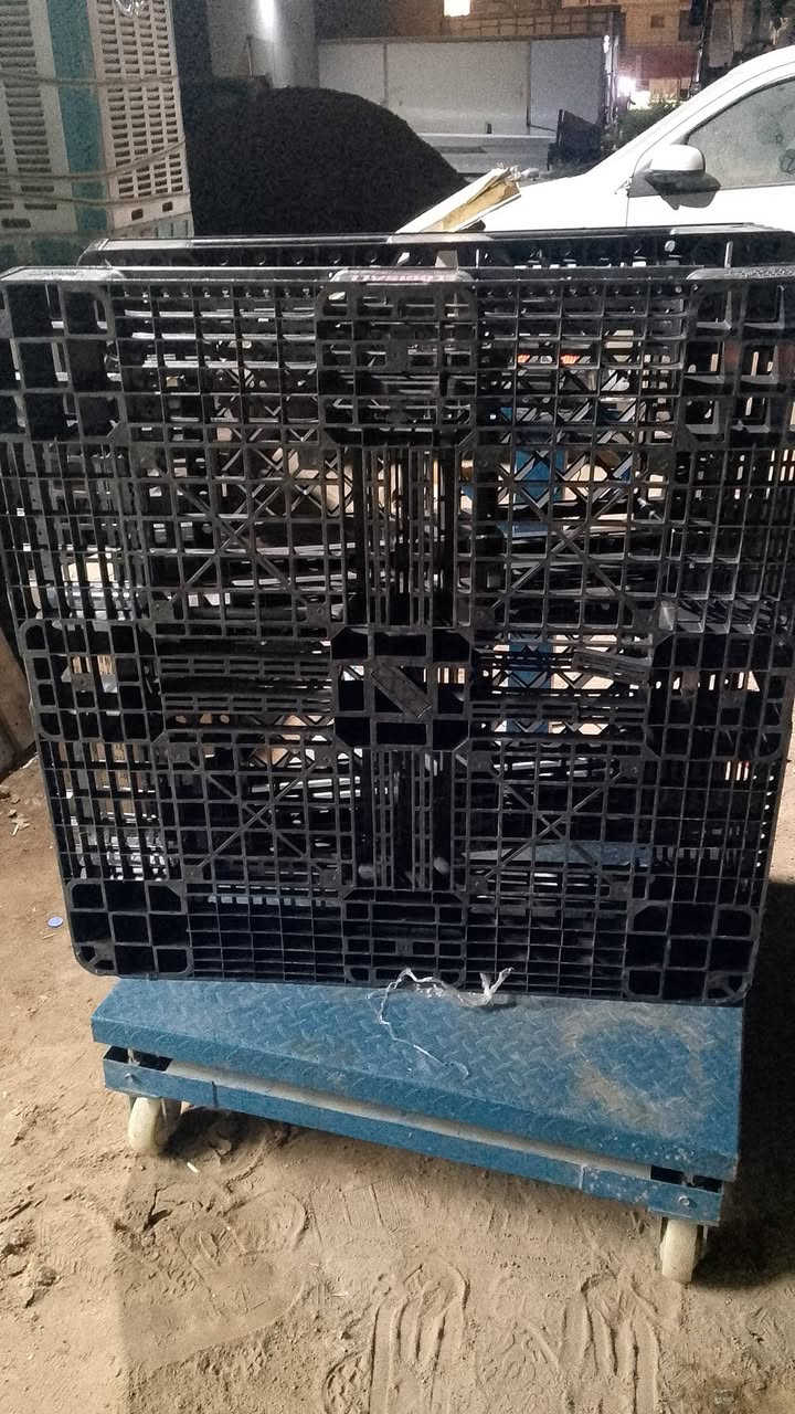 متوفر سكيب بلاستك قياسات مختلفه وسعر مناسب العنوان بغداد الدورة الهاتف ***********
