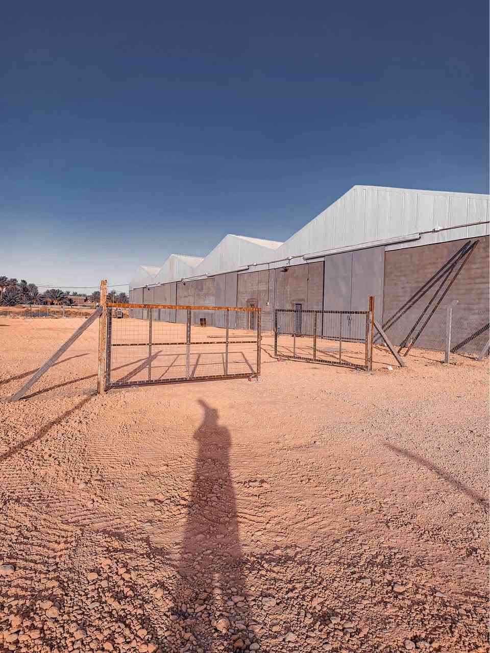 مخزن للايجار 
المساحة 600م
العنوان مجاور طريق النيل القديم (طريق حله-بغداد)
يحتوي مكتب+ صحيات

للاتصال *********** حلة, بابل
