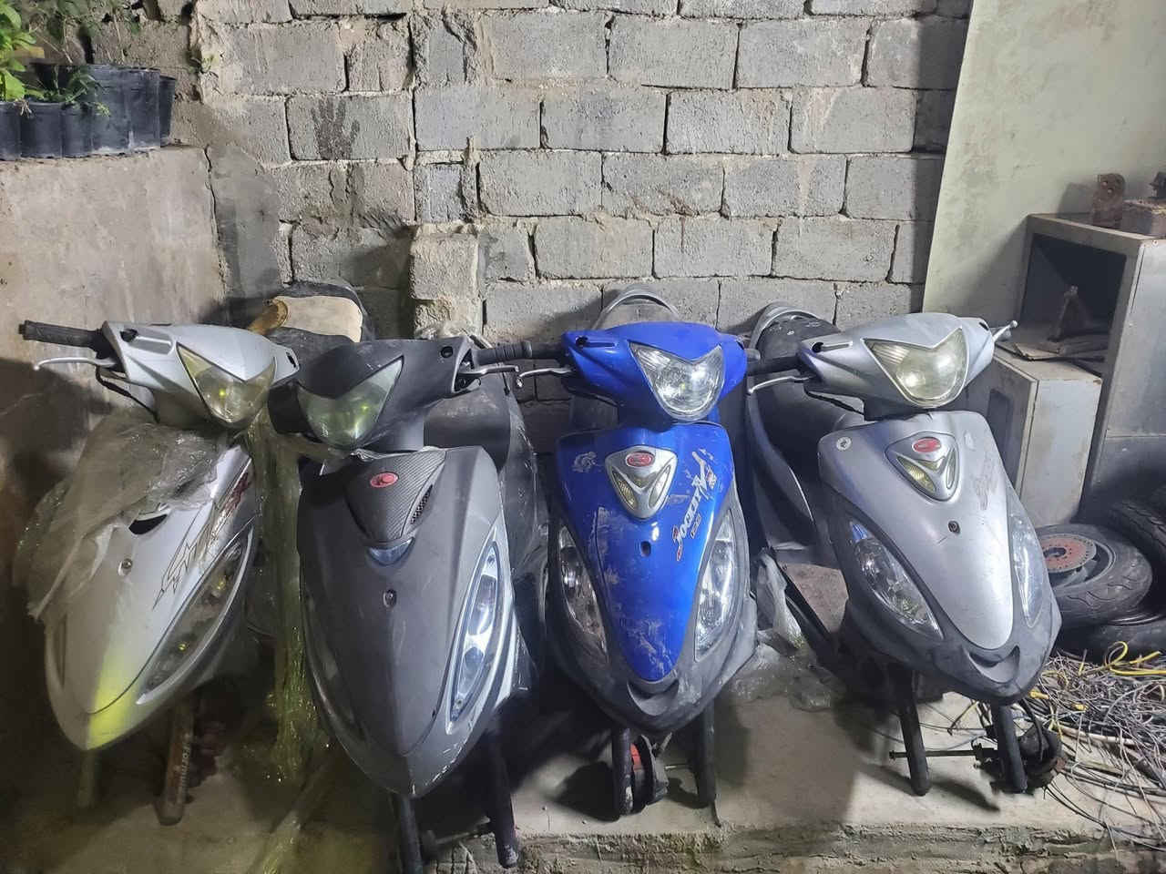 سلام عليكم اخوان وجبه مال دراجات ماكس بيهن 25 درجه  بيهن ثعلب وغير الثعلب و بوليس 2 ب جيس وهذن كدامك رمبه الوجبه كامله مال رمبه اله فول اذا اكو ابو معرض او وكيل يشتريهن انطيهن اله ب سعر و اذا مفرد ب سعر و الشراي
( *********** )
