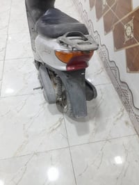 نجف الغدير • بلادي • مع مجال