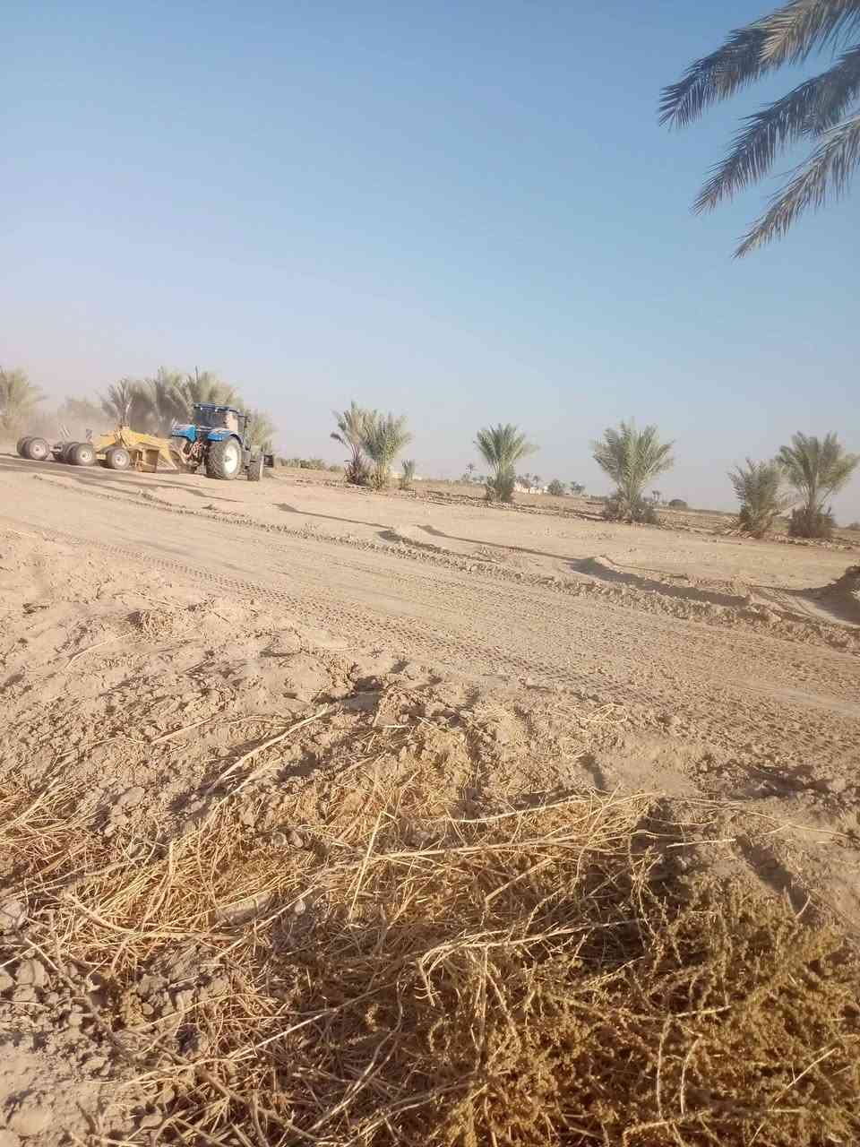 كاع بقريت الناطور قرب المدرسه شارع تبليط ماء اساله ماء سكي كهرباء نخل حمال ابيع من ٢دونم الى ٢٣دونم ***********
